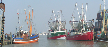 Traditionelle Krabbenkutter fischen entlang der Nordseekste die begehrten Krustentiere.